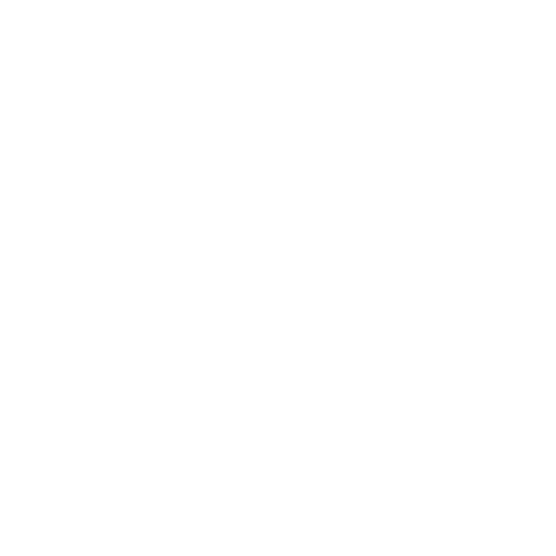 Vision
